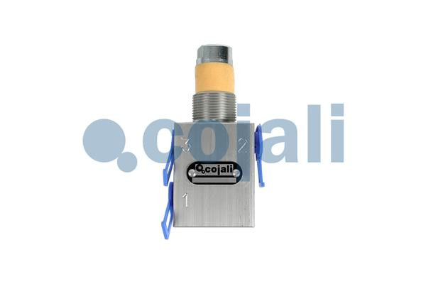 2313001 COJALI