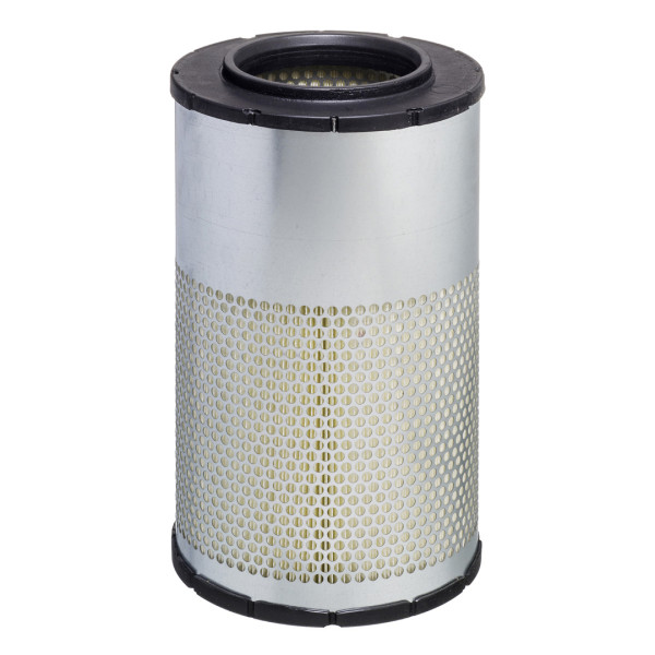 E817L