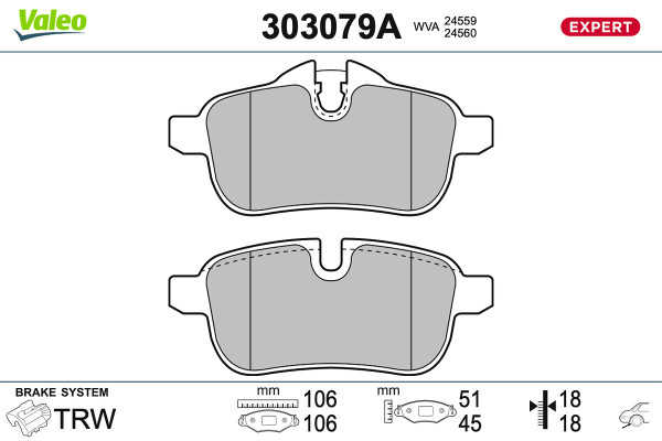 303079A