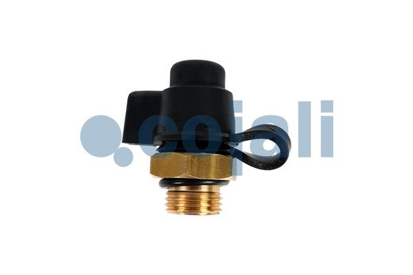 6002305 COJALI