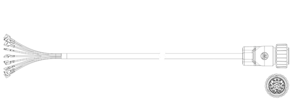 394060171
