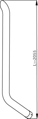 1000165036