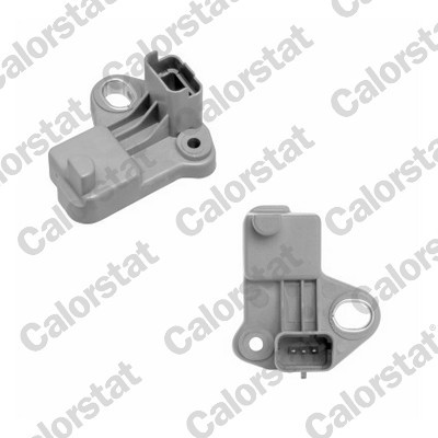 CS0314 CALORSTAT BY VE