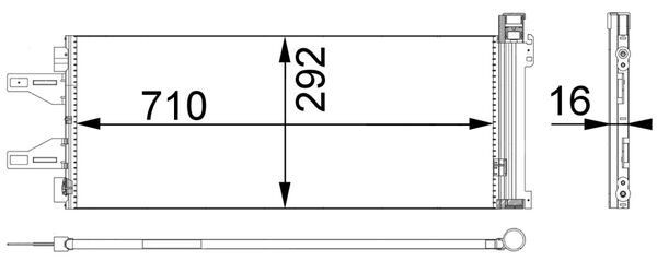 1000637581