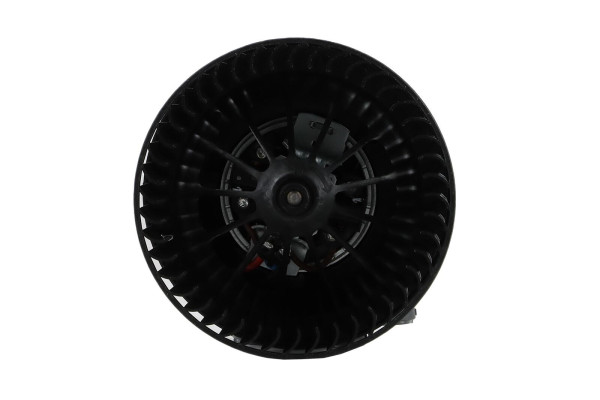 WBL01454
