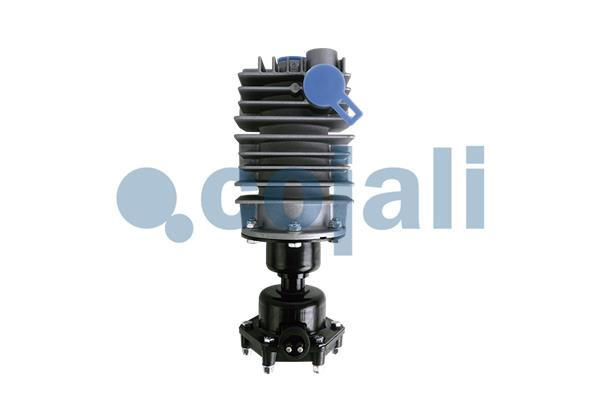 2480005 COJALI