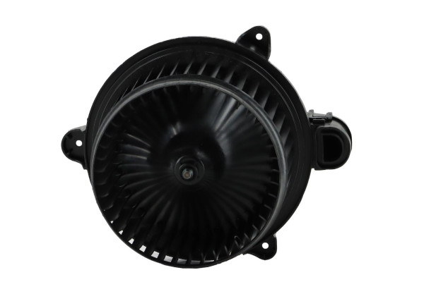 WBL01456