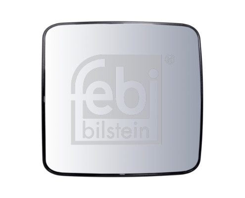 100119 FEBI BILSTEIN