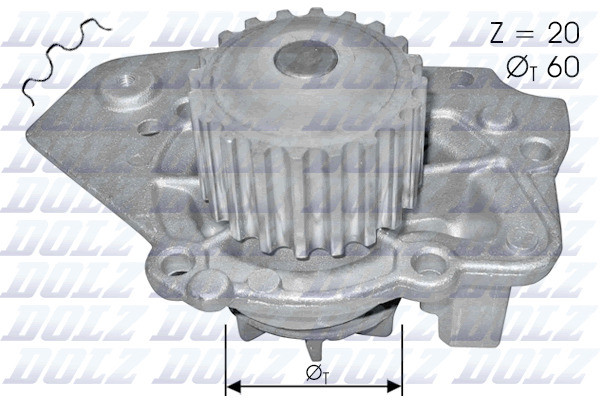 T136 DOLZ