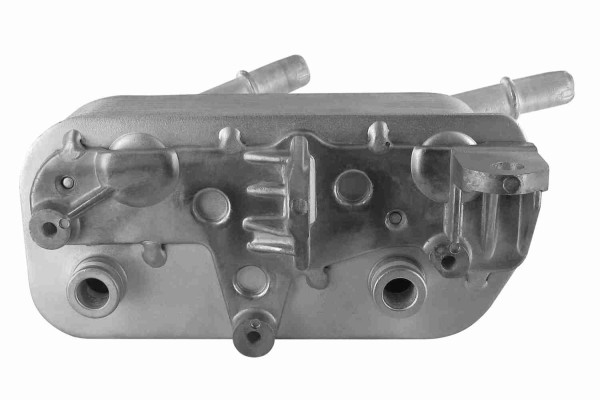 V20-60-0004