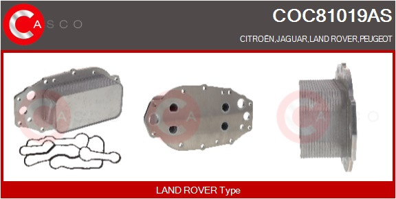 COC81019AS