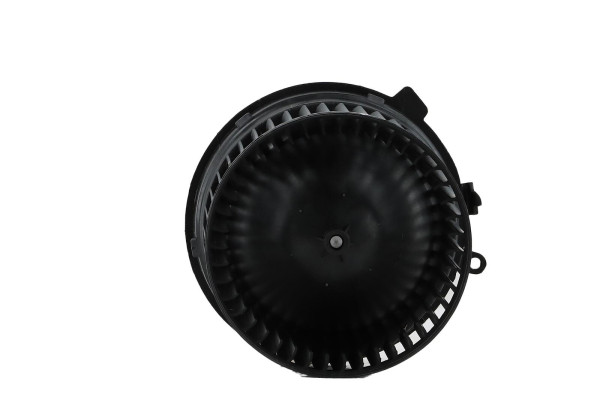 WBL01458