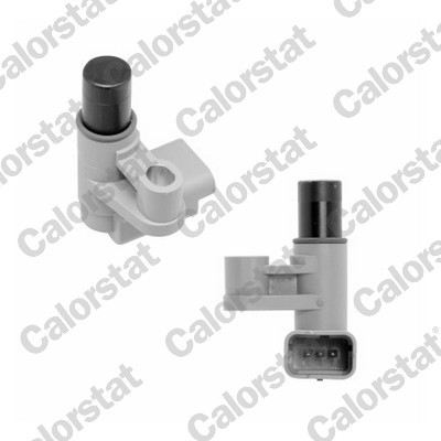 CS0271 CALORSTAT BY VE