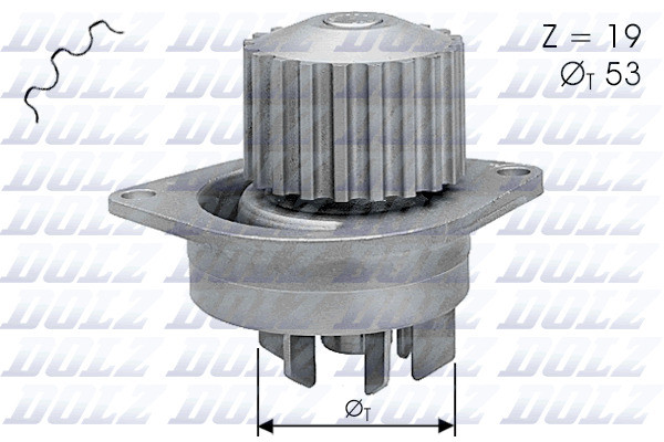 C113 DOLZ