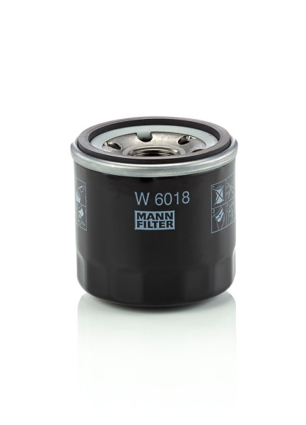 W 6018