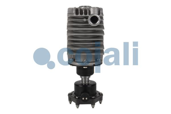 2480007 COJALI