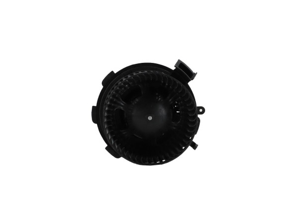 WBL01417