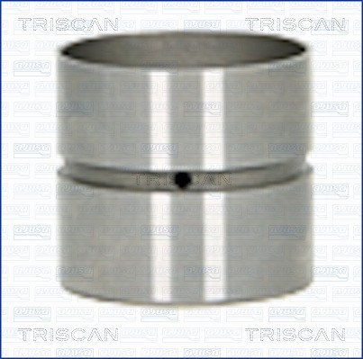 80-25007