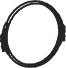 1000166947