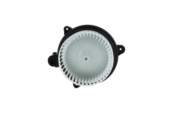 WBL01475