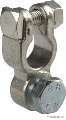 1000095202