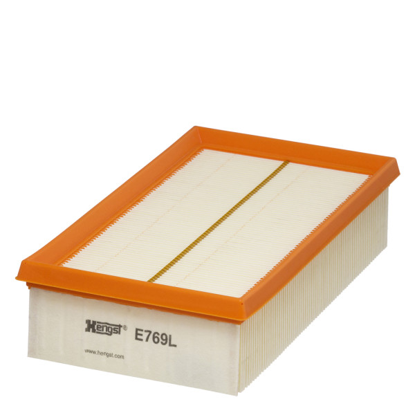 E769L