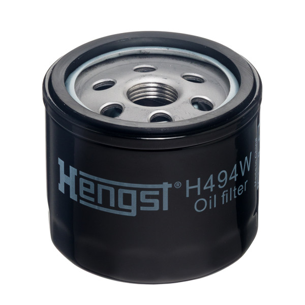 H494W