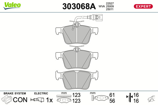 303068A