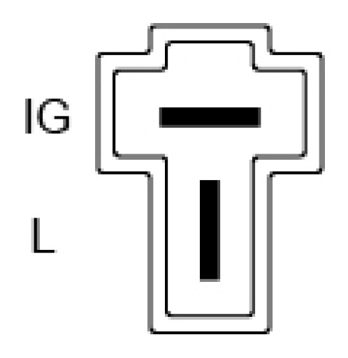 1000047903