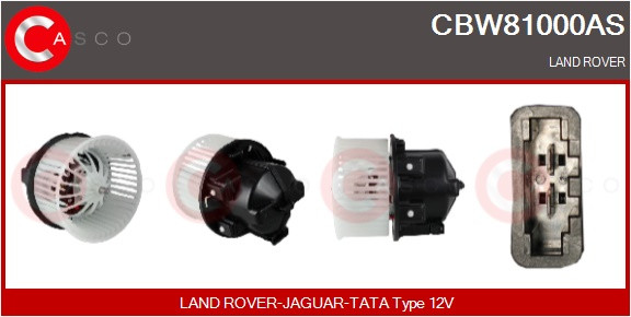 CBW81000AS