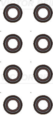 1000620301