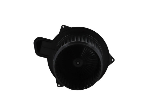 WBL01443