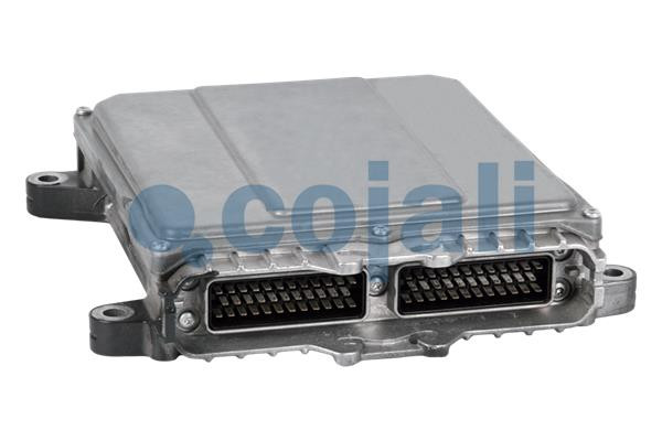 350033 COJALI