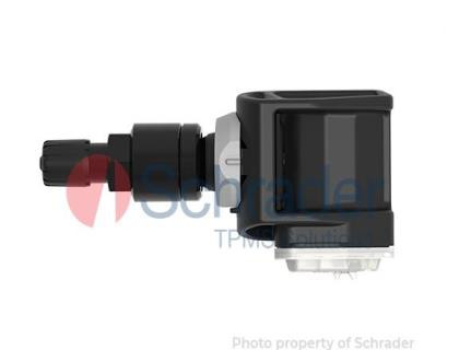 3174B