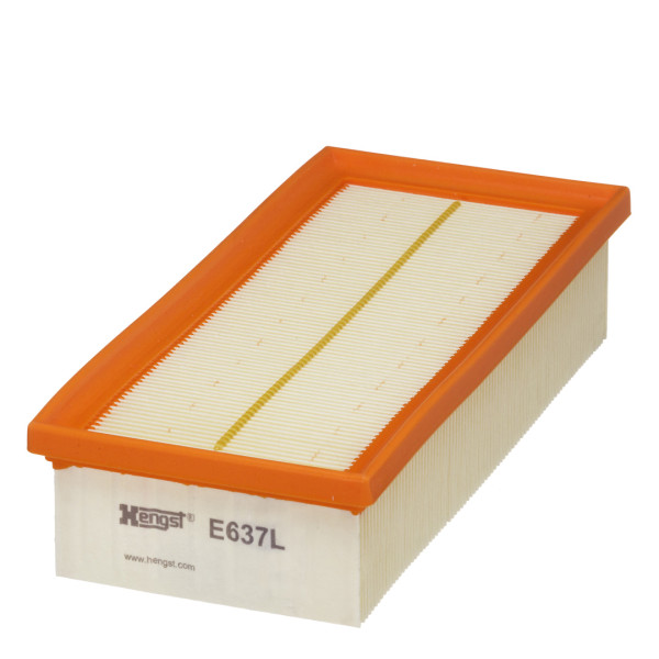 E637L