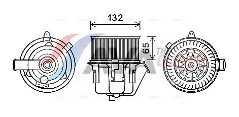 CN8297