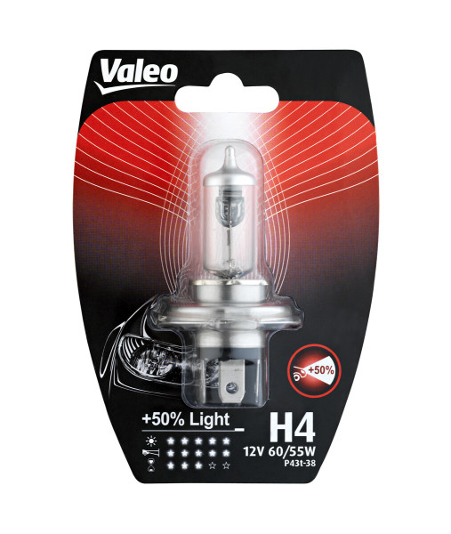 032510 VALEO