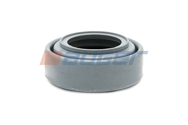 55369 AUGER