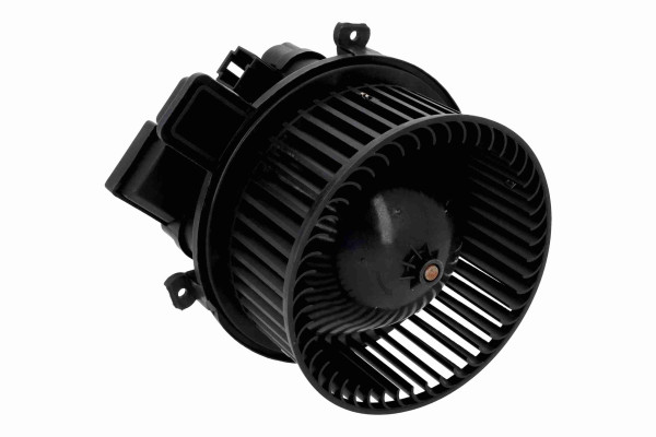 V10-03-0005