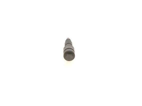 1000069604