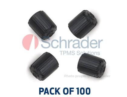8031 SCHRADER