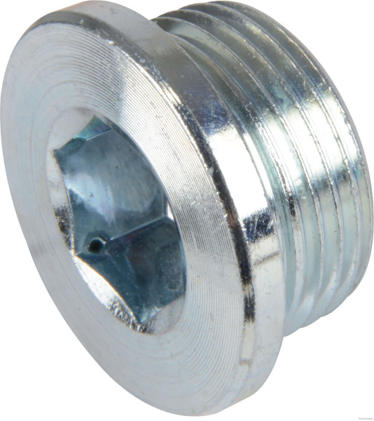 50240018