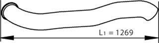 1000162961