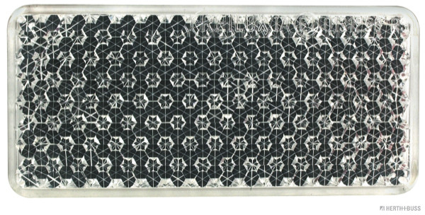 1000091979