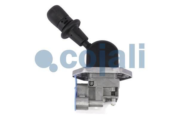2224571 COJALI
