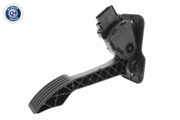 V25-82-0008