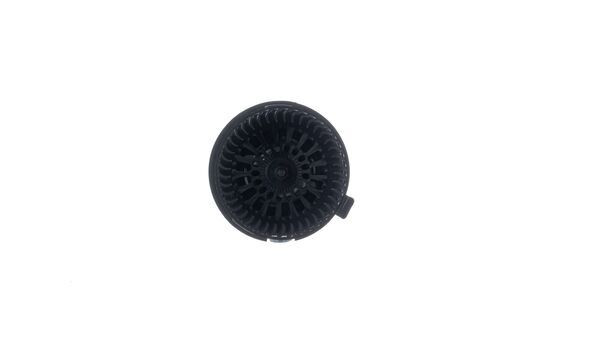AB 351 000S
