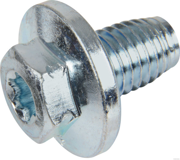 50240023