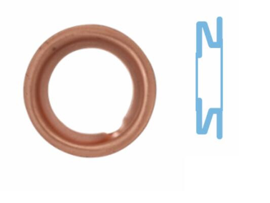 005568S