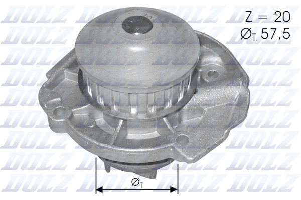 S161 DOLZ